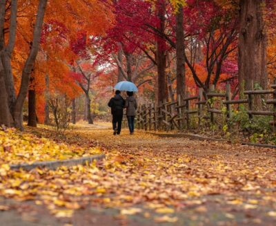 La biodiversità in città: un lusso alla portata di pochi