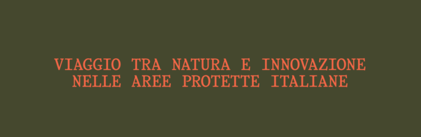 978888080107 8114 copertina