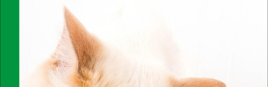 Copertina MediciPerNatura deRoode BollatiBoringhieri