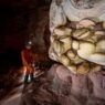 Dalle grotte del Venezuela alle rocce su Marte: un nuovo metodo per studiare ambienti estremi