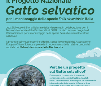 cb7efc74 3ef8 45a7 b07a 634720ef906e