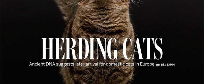 Copertina Science gatti dicembre 2025