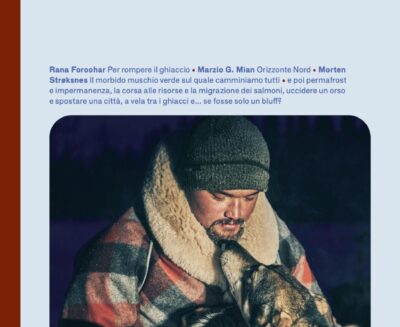 “Artico”: la recensione del nuovo The Passenger