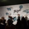 DAGLI ECOSISTEMI MARINI AGLI ORSI DELLE CAVERNE: proseguono gli incontri con gli esperti al Museo della Natura e dell’Uomo (Padova)