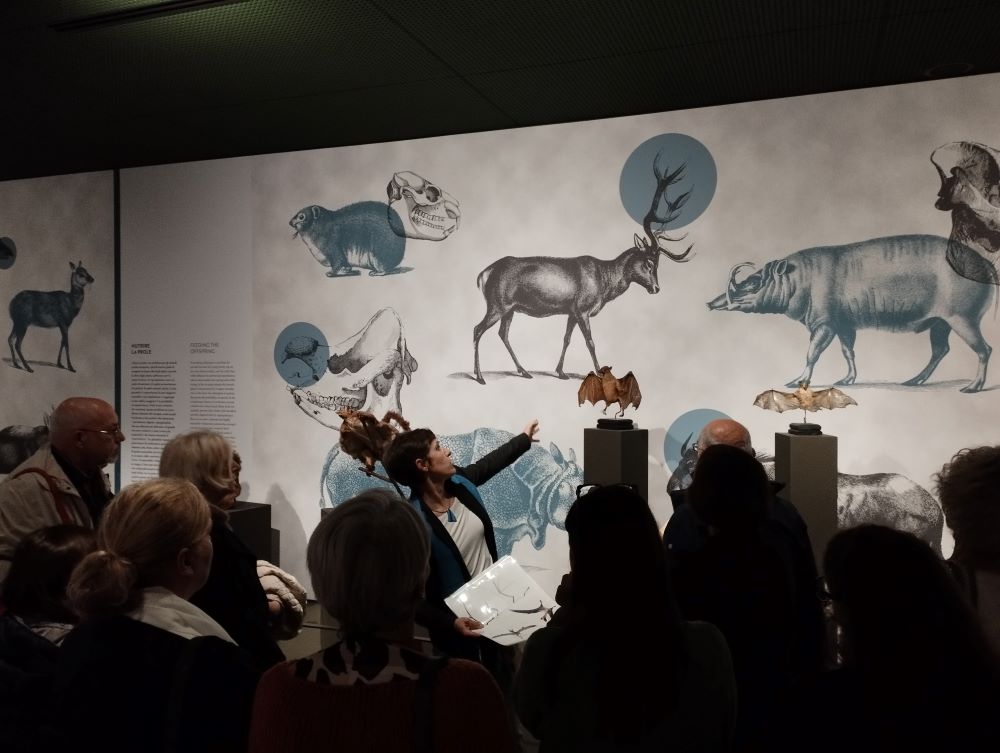 incontri con lesperto