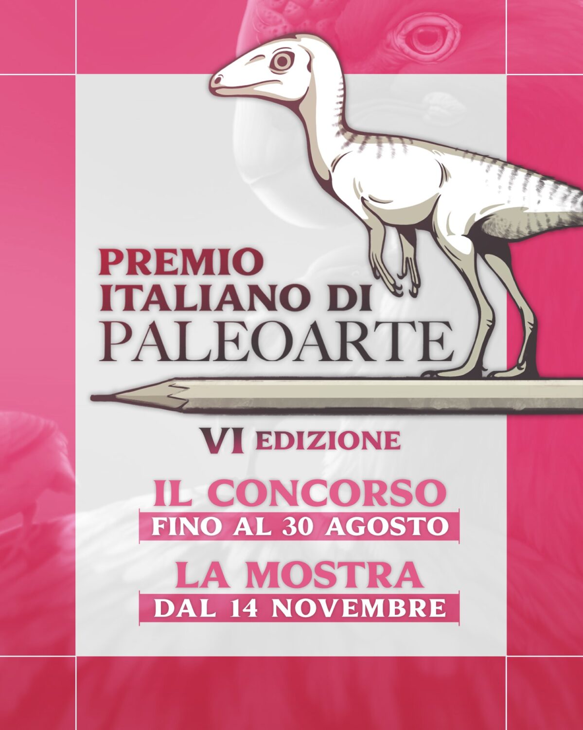 643398217 1418891186917263 8370621367423521666 n