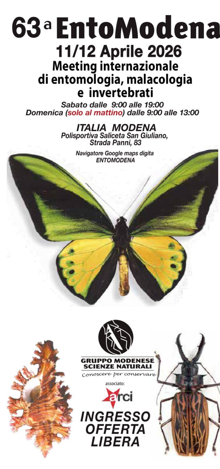 Entomodena 2026 section 1