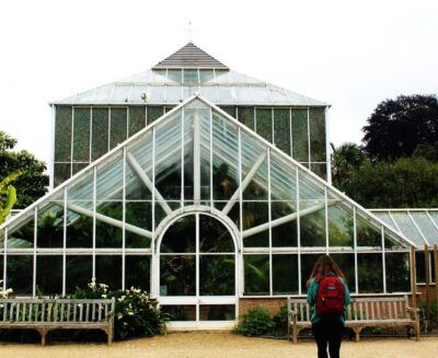 Cambridge e la rinascita della botanica: un nuovo certificato nel nome di Darwin