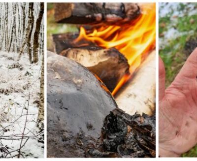 I Neanderthal usavano il catrame di betulla per curare le ferite?