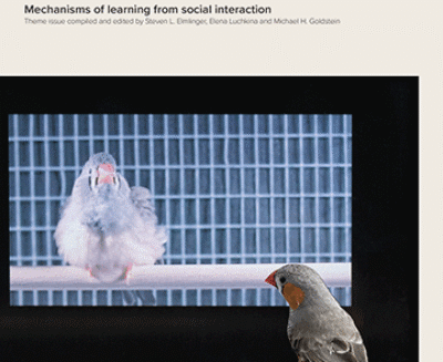 Imparare a comunicare: da piccoli, grazie ai grandi