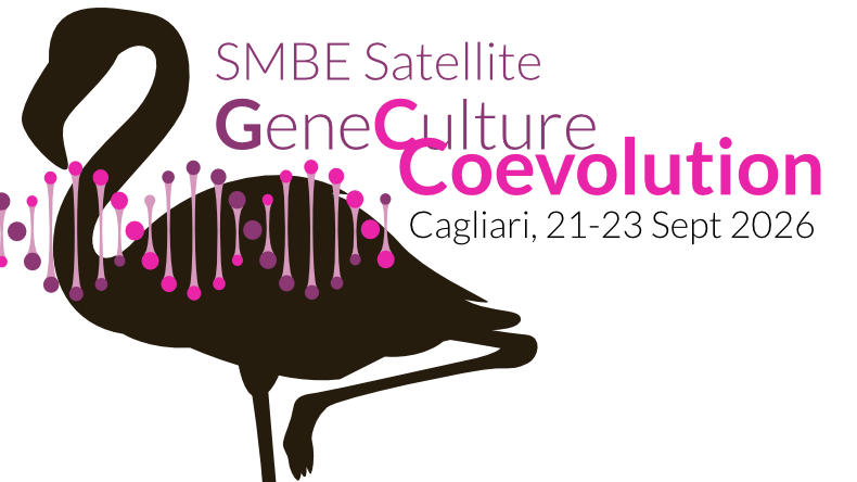 smbe satellite cagliari
