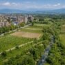 Dove piantare alberi in Italia? Dipende dall’obiettivo
