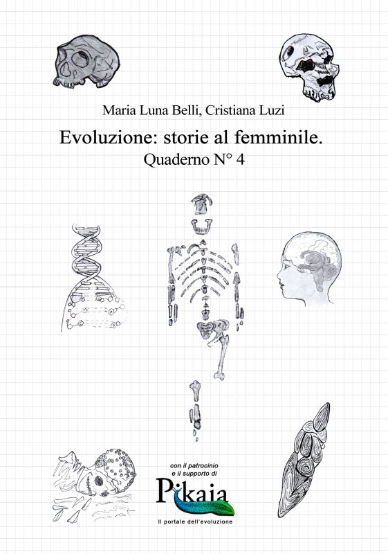 evoluzione storie al femminile 8962
