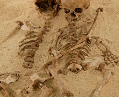 Il DNA antico della Grotta del Romito racconta ben più di una rara malattia genetica già esistente nel Paleolitico