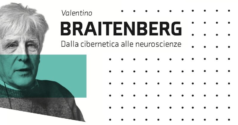137882 BANNER PAGINE SITO BRAITENBERG