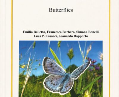 Le farfalle diurne italiane nel nuovo volume della Fauna d’Italia