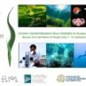 A Pioppi una summer school per studiare le praterie di Posidonia oceanica