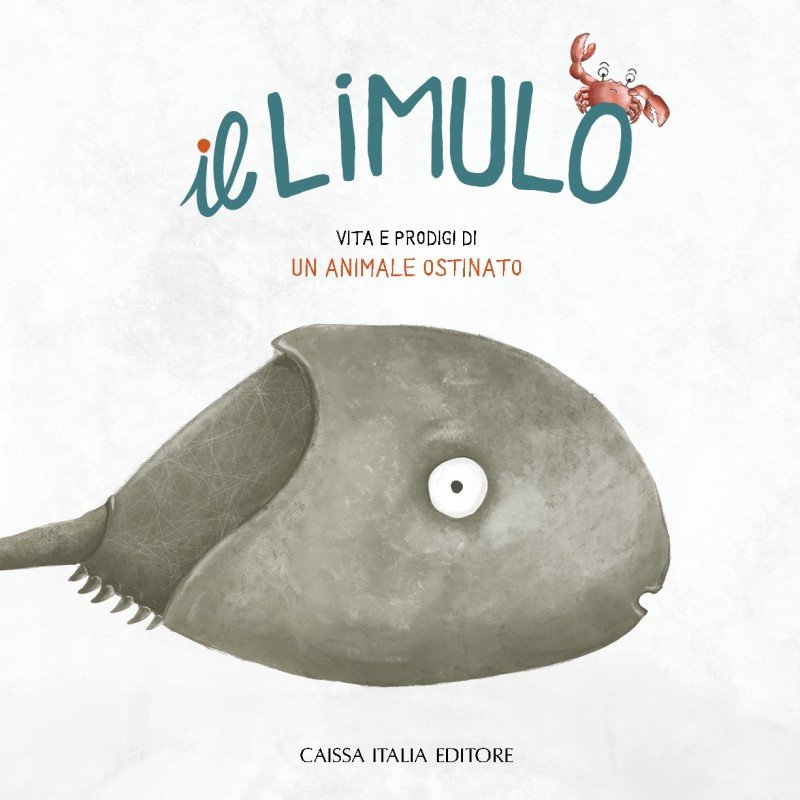 il limulo