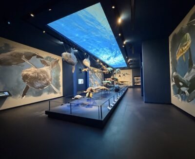 Padova, città della scienza. Due musei da non perdere