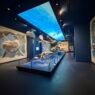Padova, città della scienza. Due musei da non perdere