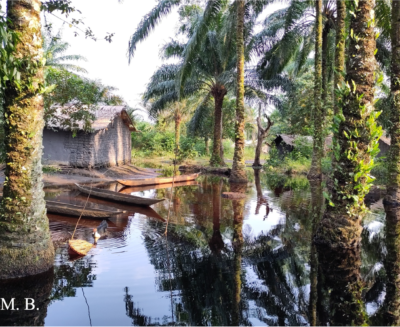 Le storie del clima che cambia nel bacino del Congo