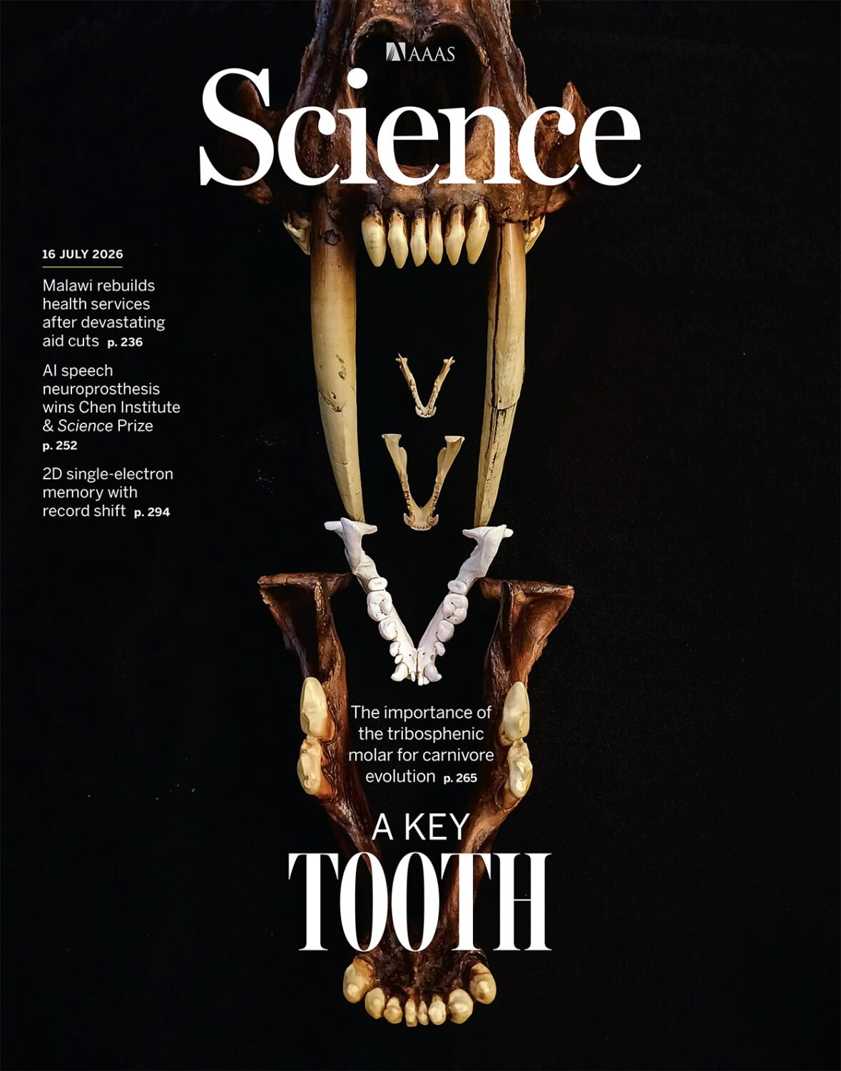 science.2026.393.issue 6808.largecover
