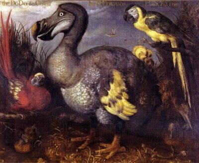 Il mondo perduto del dodo