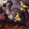 Il mondo perduto del dodo