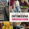 La 64ª EntoModena si prepara ad accogliere gli appassionati di entomologia, malacologia e invertebrati