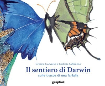 In viaggio al fianco di Darwin: le farfalle tra osservazione, scienza e memoria storica