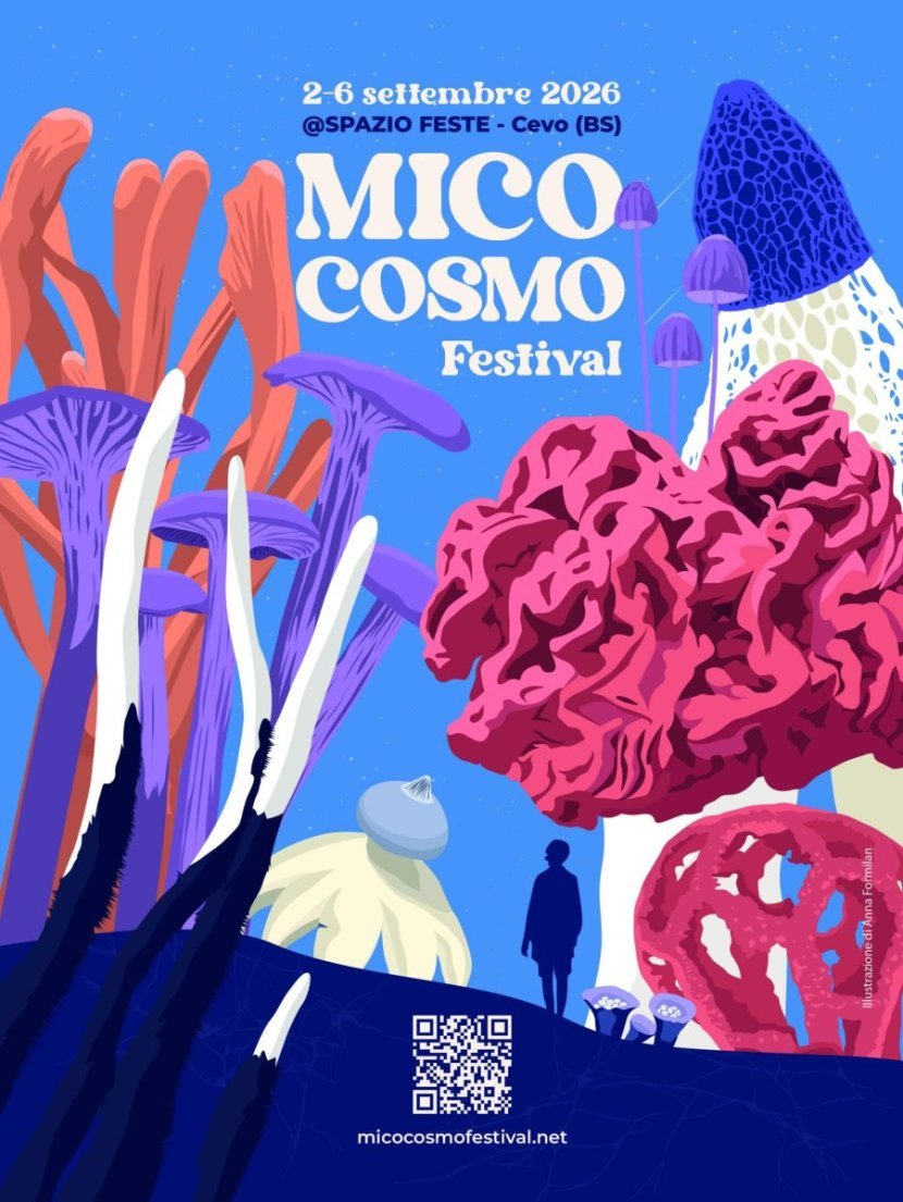micocosmo locandina
