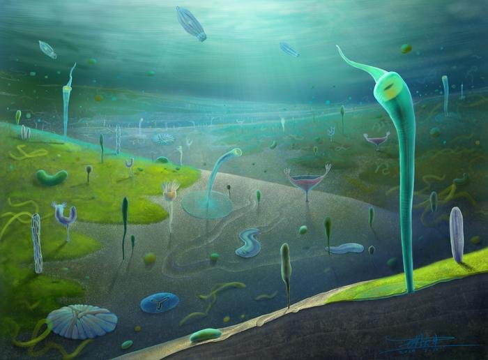 Low Res Reconstruction of Jiangchuan biota Credit Xiaodong Wang