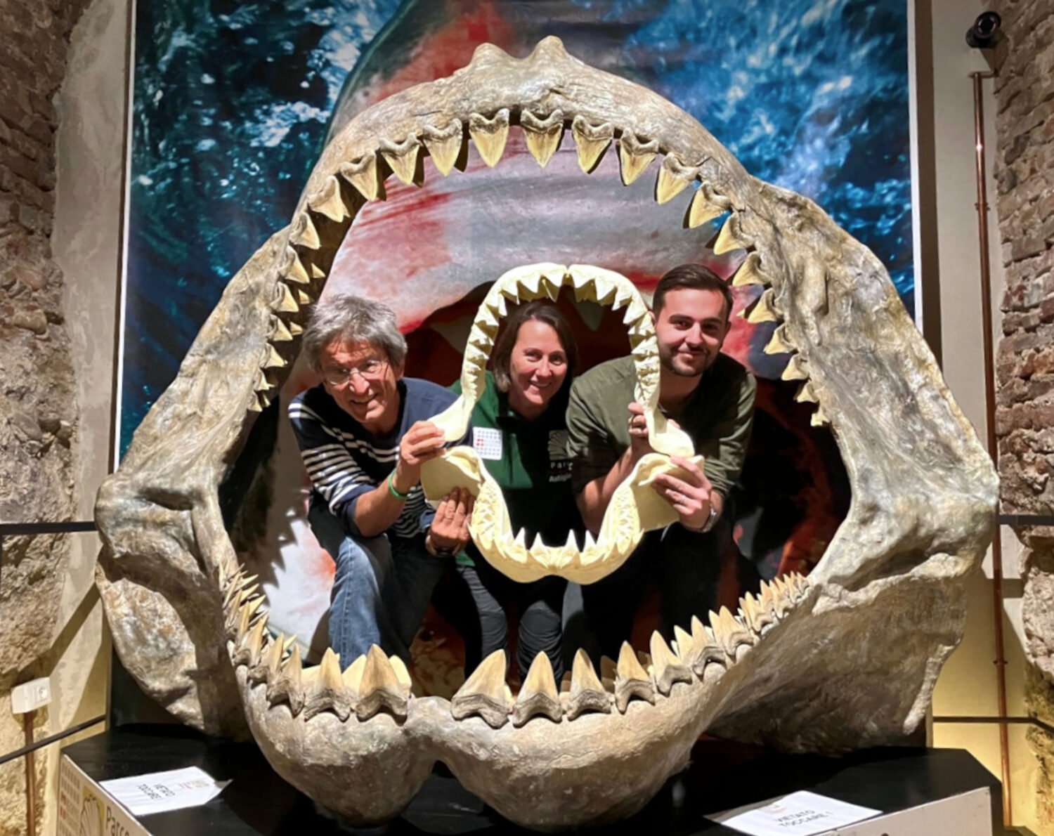 Didascalia: Graziano Delmastro, Alessandra Fassio e Marco Sabia, da sinistra, all'interno della ricostruzione della bocca del megalodonte al Museo Paleontologico di Asti. Foto: Parco Paleontologico Astigiano.