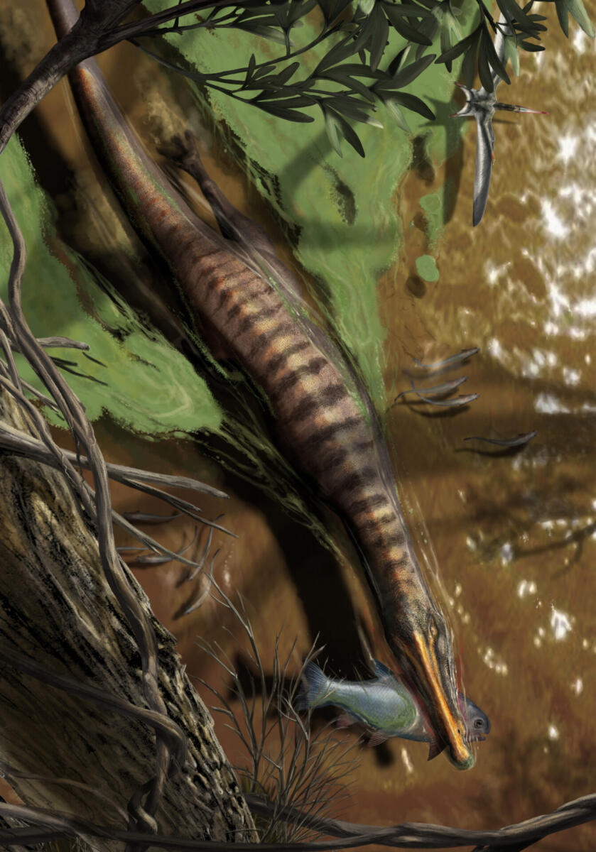 5 baryonyx a pesca
